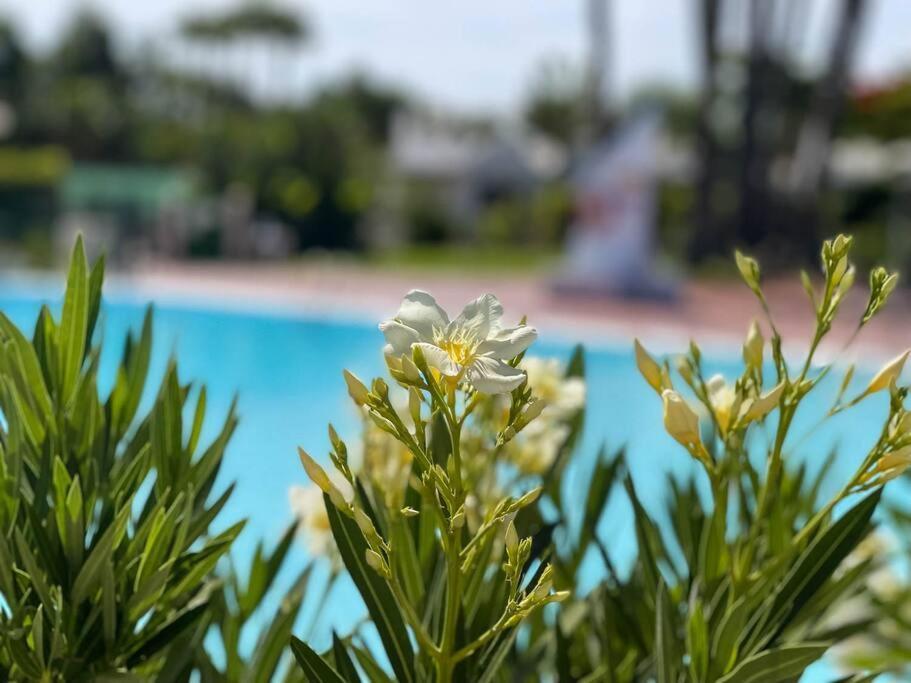 Cozy & Modern Bungalow W/Private Garden Bbq+Wifi Maspalomas  Eksteriør bilde
