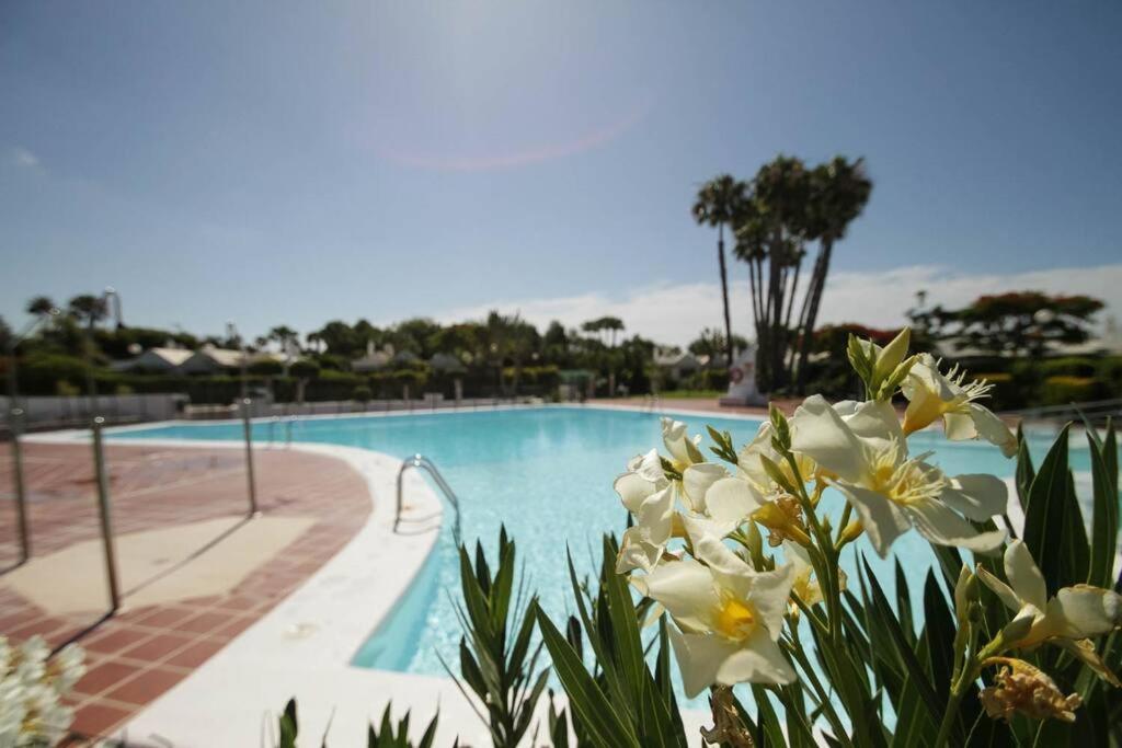 Cozy & Modern Bungalow W/Private Garden Bbq+Wifi Maspalomas  Eksteriør bilde